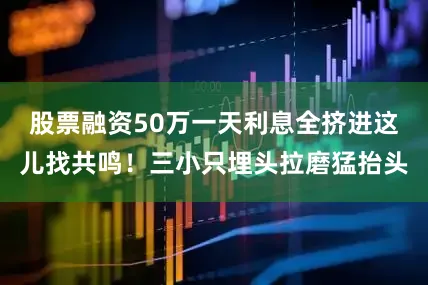 股票融资50万一天利息全挤进这儿找共鸣！三小只埋头拉磨猛抬头