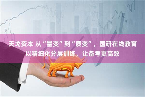 天戈资本 从“量变”到“质变”，国研在线教育以精细化分层训练，让备考更高效